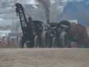 The Great Dorset Steam Fair 2005, Image 338