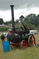 Boconnoc Steam Fair 2007, Image 196