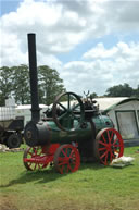 Lister Tyndale Steam Rally, Berkeley Castle 2008, Image 15