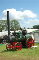 Lister Tyndale Steam Rally, Berkeley Castle 2008, Image 48