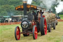 Boconnoc Steam Fair 2008, Image 236