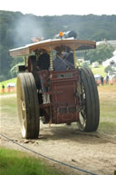 Boconnoc Steam Fair 2008, Image 383
