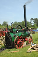 Strumpshaw Steam Rally 2008, Image 155