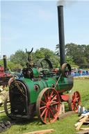 Strumpshaw Steam Rally 2008, Image 157