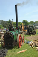 Strumpshaw Steam Rally 2008, Image 159