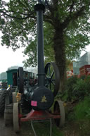 Hadlow Down Traction Engine Rally, Tinkers Park 2008, Image 109