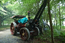 Boconnoc Steam Fair 2009, Image 4