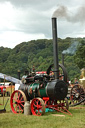 Boconnoc Steam Fair 2009, Image 86