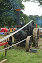 Boconnoc Steam Fair 2010, Image 88