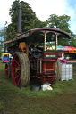Boconnoc Steam Fair 2010, Image 131