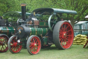 Strumpshaw Steam Rally 2010, Image 8