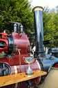 Camborne Trevithick Day 2013, Image 155